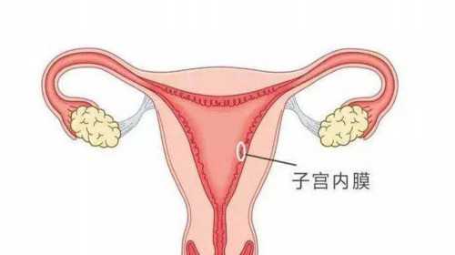 昆明代孕生子哪个公司好,做试管婴儿要挂什么科-上海仁济医院试管费用比较高