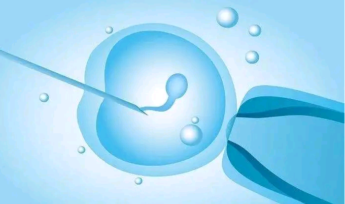 昆明专业代孕成功率,2023北京供卵三代试管婴儿多少钱，附供卵费用明细清单