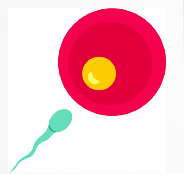 昆明三代试管助孕孩子-昆明辅助生殖中心
