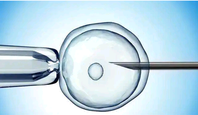 昆明代孕生殖中心总部,2023
北京大学第三医院做三代试管供卵费用清单-深圳孕