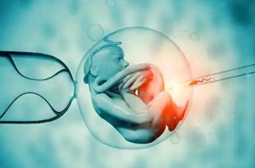 无锡怎么联系世纪代孕_qO4iM_06741_0RhpR_输卵管积水回流会影响到已经着床的胚胎