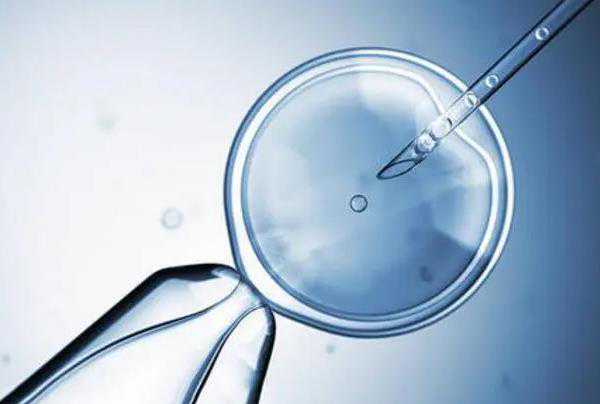 无锡合法职业代孕_两步移植法移植两个胚胎成双胞胎的多吗？_05A0F_07qx2_8l811_