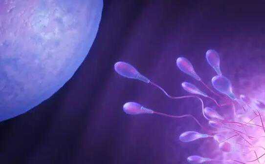 无锡代孕哪里好 无锡仁济试管囊胚培养是怎么回事儿？ ‘44天b超看男女’