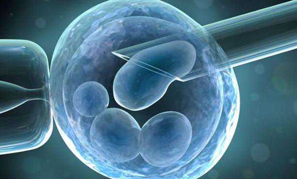 无锡供卵代孕机构 2022无锡卵巢早衰做试管包成功医院最新排名 ‘两个多月的孕