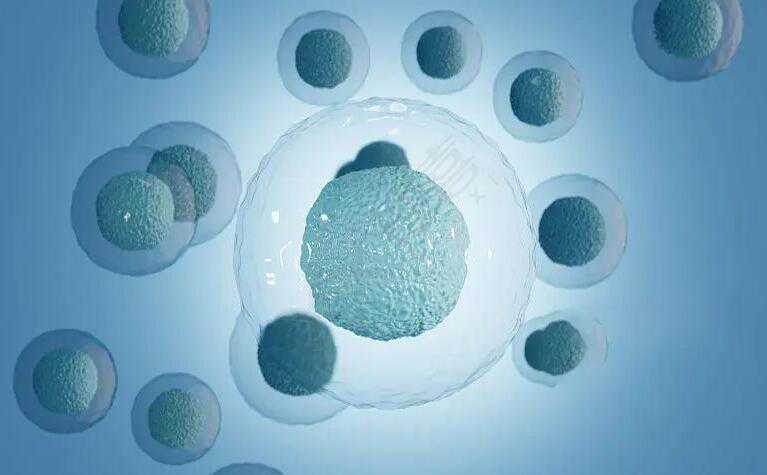 昆明代怀生宝宝 昆明供卵试管婴儿攻略 ‘怀孕5个月做四维数据看男女’
