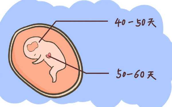 昆明哪里有专业供卵代孕_青岛医院试管婴儿费用是多少 供卵试管助孕：上海正