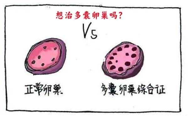 昆明代怀选性别_北京排名供卵机构有哪些，3家可以开展三代供卵试管助孕