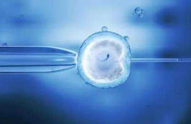 昆明在胚胎可以代孕吗_2022山西省试管婴儿医院费用一览表，附试管助孕费用花