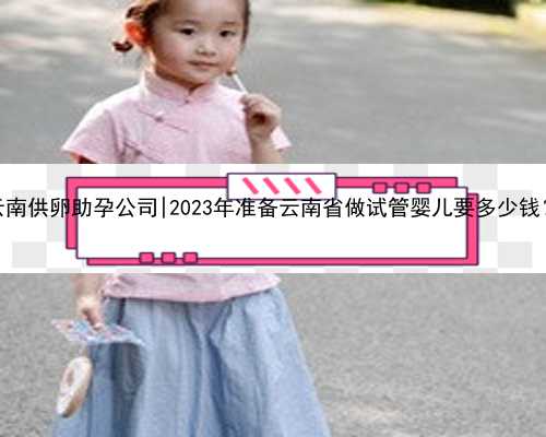云南供卵助孕公司|2023年准备云南省做试管婴儿要多少钱？