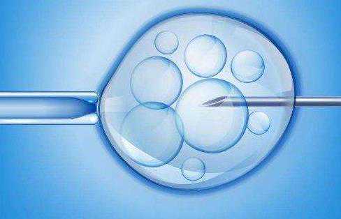 如何保养卵巢，没有卵巢能生孩子吗