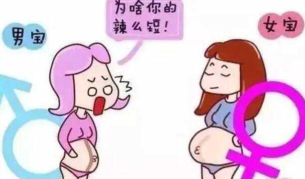 2022年深圳人口数据统计_白岩松谈放开生育政策：很多人一胎都不想生，何况三